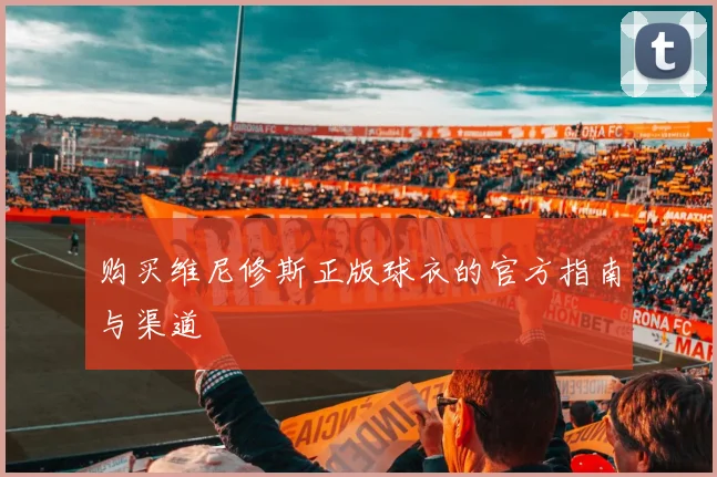 购买维尼修斯正版球衣的官方指南与渠道